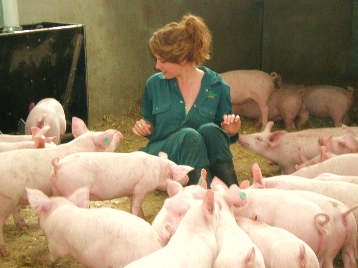 Grace in her happy place: dolled up in scrubs and surrounded by pigs