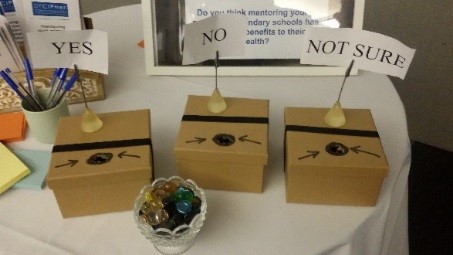 Pebbles and 'live voting' ballot boxes