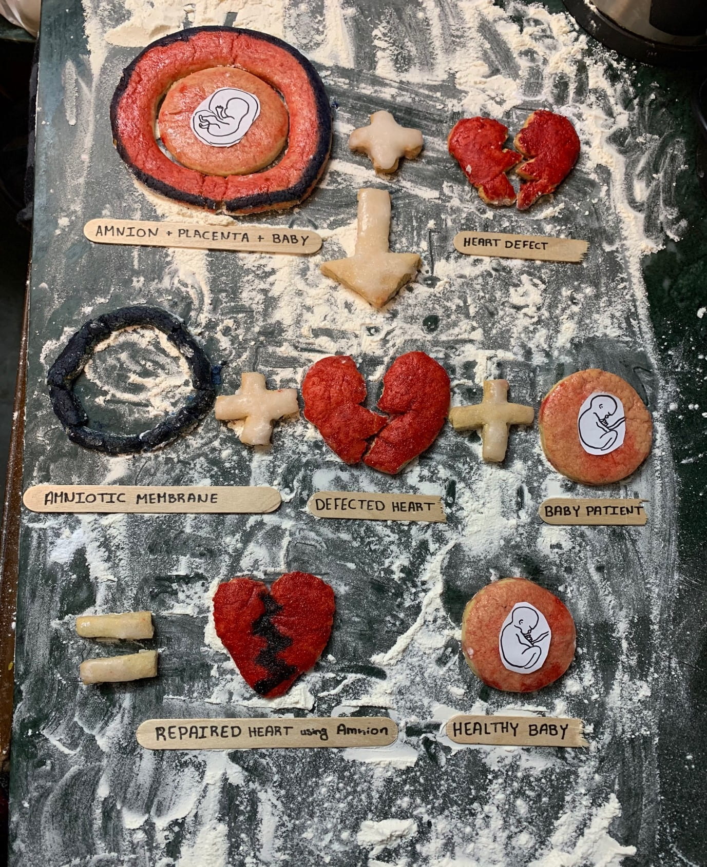 Three rows of baked cookies on a flour-covered surface. Top row: a cookie labelled 'amnion + placenta + baby'; a cookie labelled 'heart defect'. Middle row: a cookie labelled 'amniotic membrane'; a cookie labelled 'defective heart'; a cookie labelled 'baby patient'. Bottom row: a cookie labelled 'repaired heart using amnion; a cookie labelled 'healthy baby'.